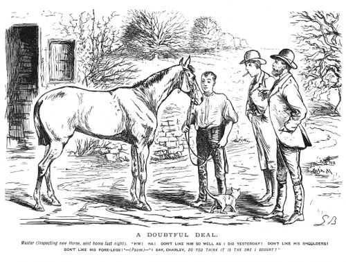Master inspecting new horse