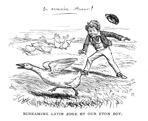 Screaming Latin Joke by Eton Boy