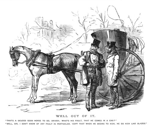 Discussions About A Horse.