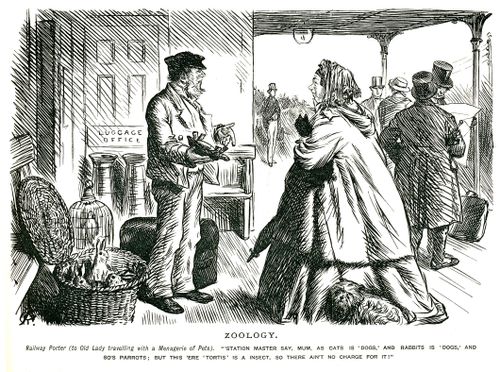 Lady traveling with pets