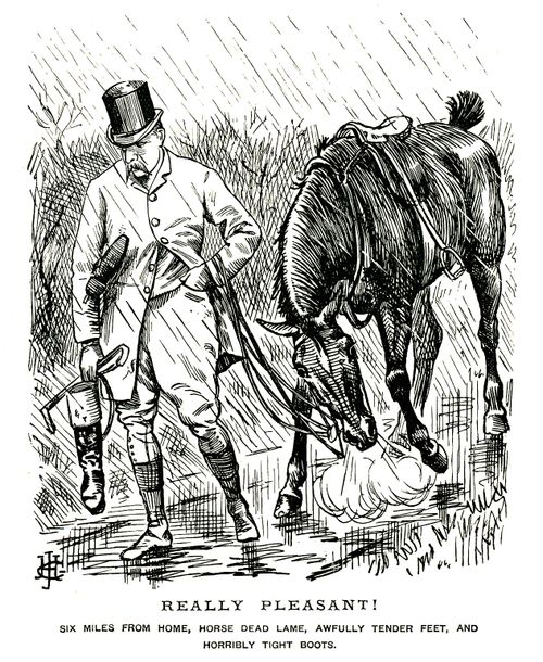 Huntsman in the rain