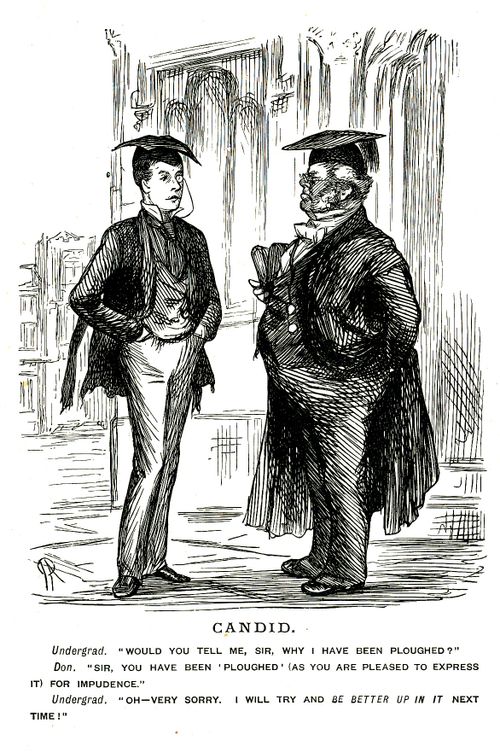 Undergraduate and don
