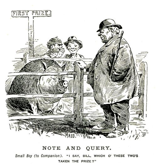 Prize winning pig and farmer