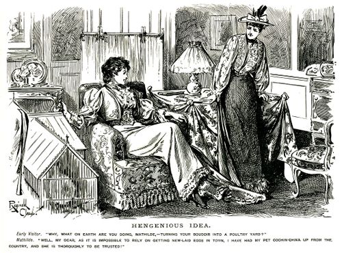 Woman keeping a chicken in her room for fresh eggs