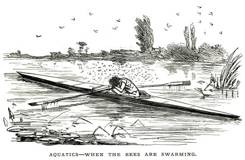 A rower surrounded by swarming insects