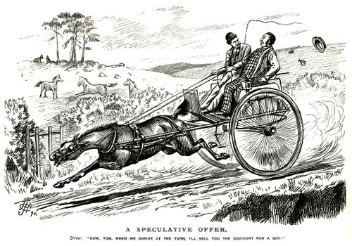 Driver speeding along in a dog-cart