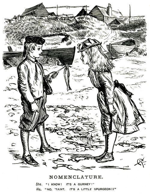 Children arguing over the name of a fish