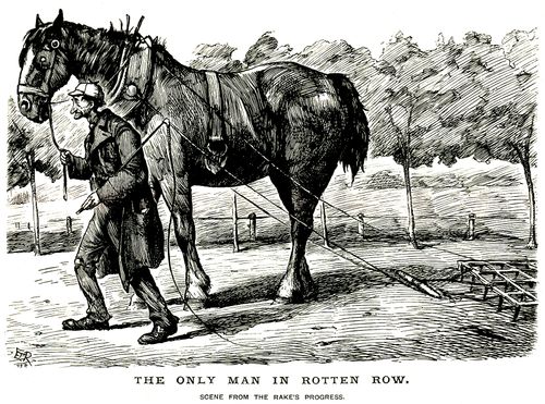 Horse drawn rake