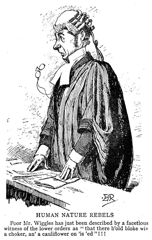 Barrister startled by a witness' description of him