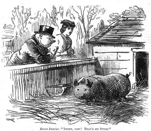 Man who resembles pig
