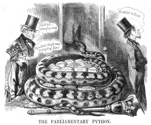The Parliamentary Python