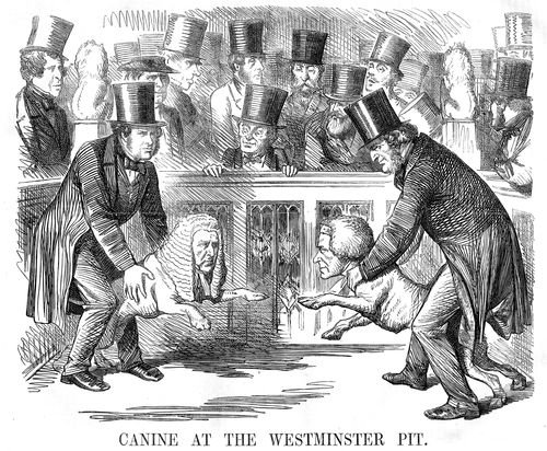 Canine at the Westminster Pit - Lord Palmerston and Lord Derby