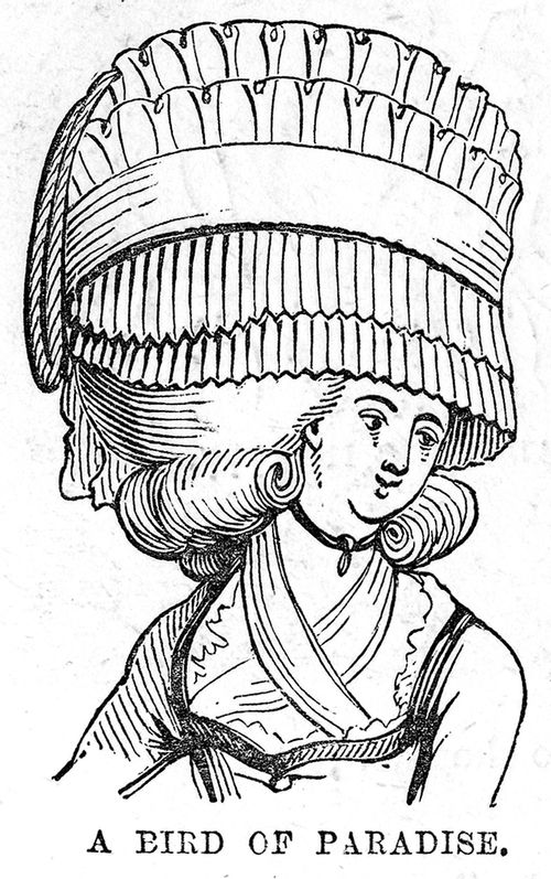 'A Bird of Paridise' - A head-dress in 1780