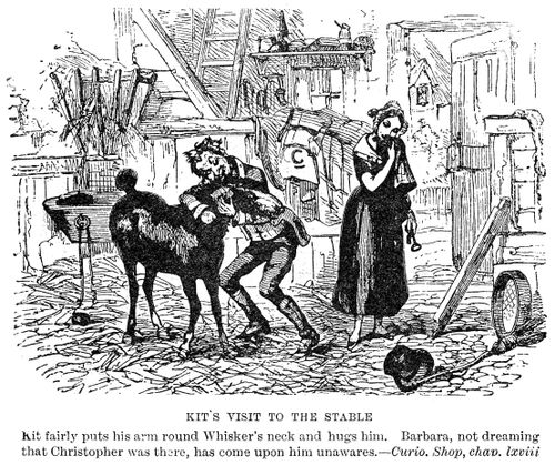 Kit's visit to the stable