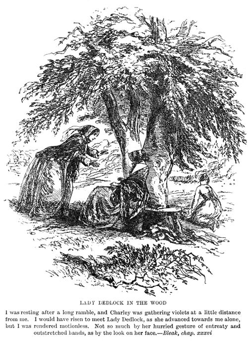 Lady Dedlock in the wood