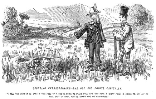 Men on a shoot with a pointer dog