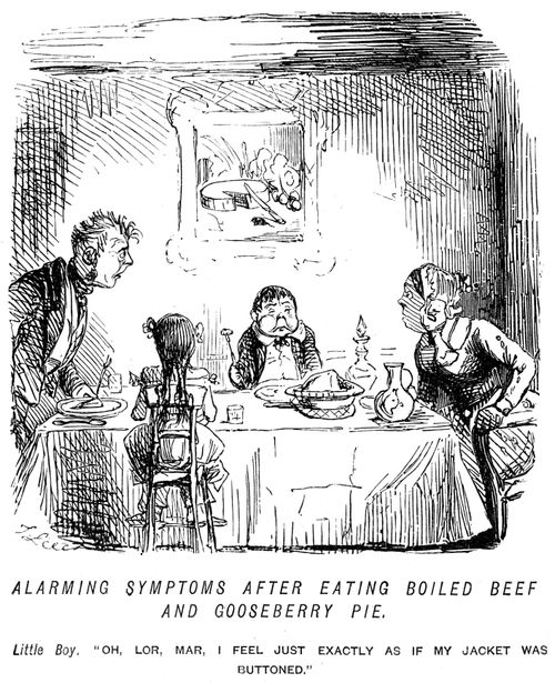 Alarming symptoms after eating boiled beef and gooseberry pie