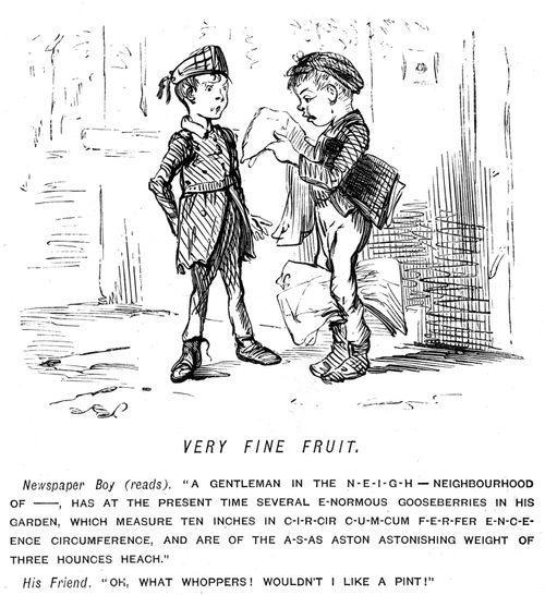 Boy reading about enormous gooseberries in the local newspaper
