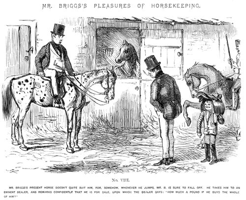 Mr Briggs's Pleasures of Horsekeeping - No. VIII