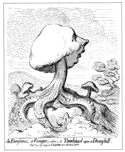 William Pitt the Younger as a 'Toadstool upon a Dunghill'