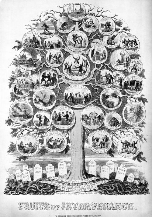 Alcohol and the Fruits of Intemperance