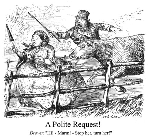 A frightened woman running from a cow.