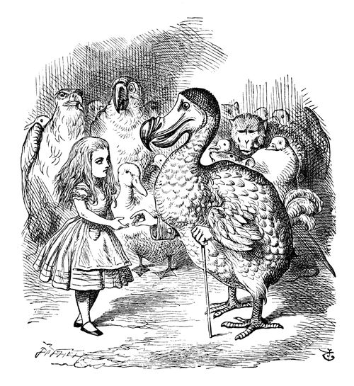 Alice in Wonderland: Alice and the Dodo.