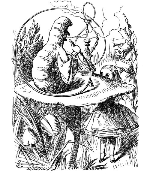 Alice in Wonderland - Advice from a Caterpillar.