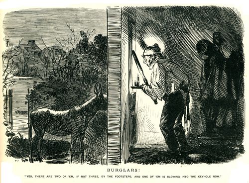 Man Mistakes Donkey for Burglars.