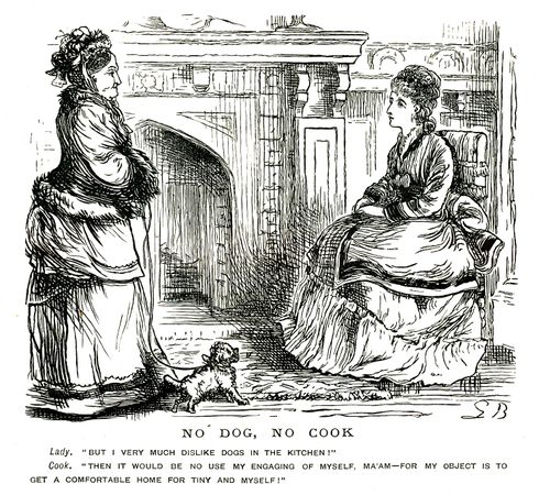 A new cook arrives with her dog