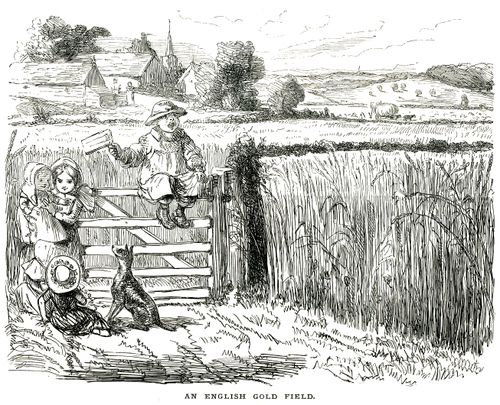 An English Gold Field