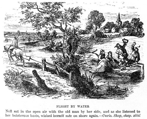 Flight by water