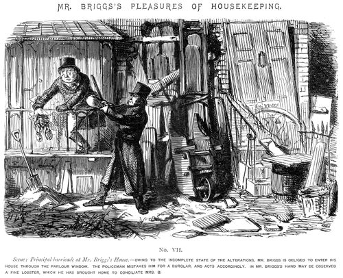 Mr Briggs's Pleasures of Housekeeping - No. VII