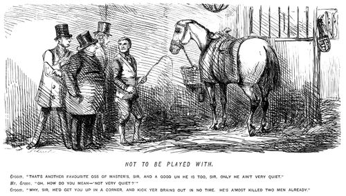 Groom teling visitors about an erratic horse