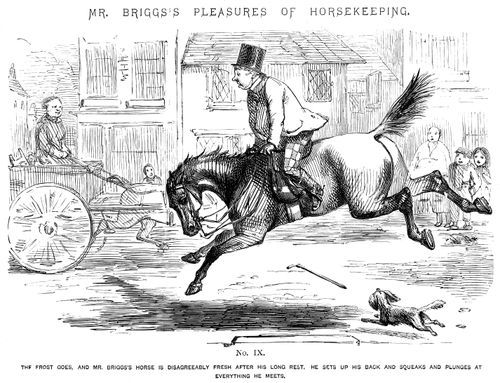 Mr Briggs's Pleasures of Horsekeeping - No. IX