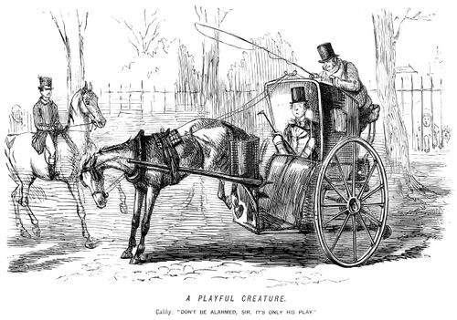 Kicking horse alarms a carriage passenger