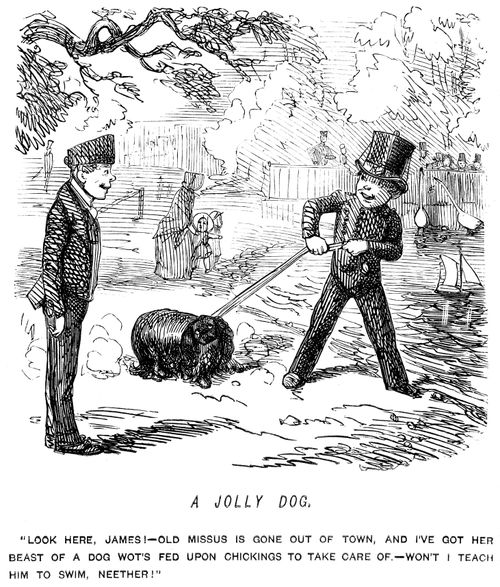Boy looking after his mistress's dog