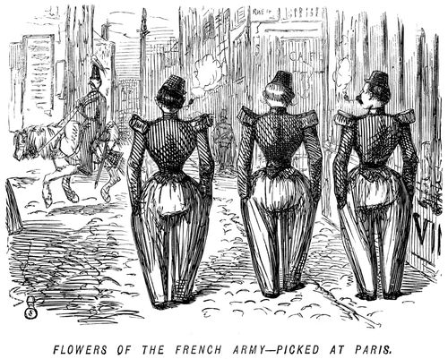 Flowers of the French army - picked at Paris