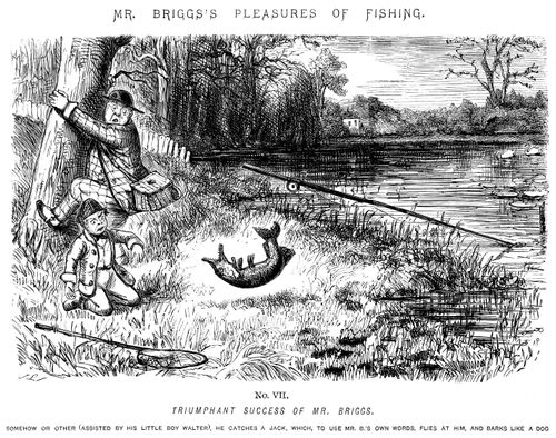 Mr Briggs's Pleasures of Fishing - No. VII