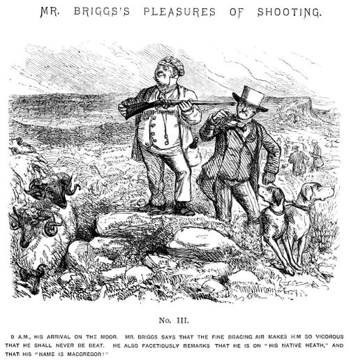 Mr Briggs's Pleasures of Shooting - No. III