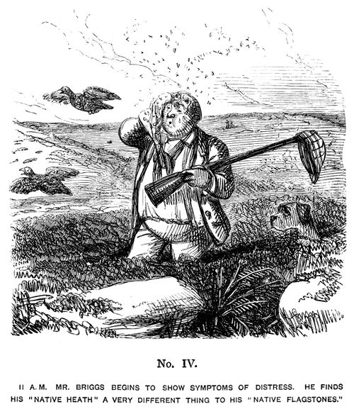 Mr Briggs's Pleasures of Shooting - No. IV