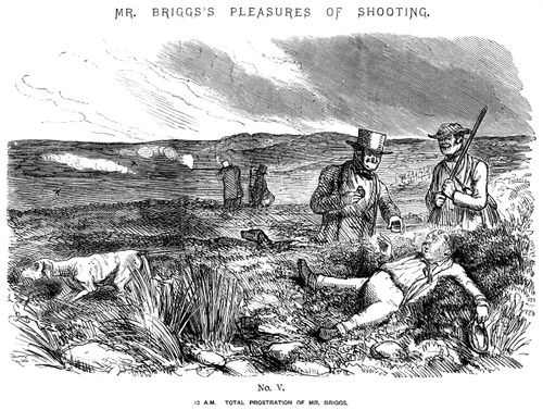 Mr Briggs's Pleasures of Shooting - No. V
