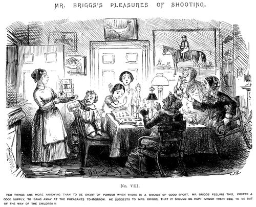 Mr Briggs's Pleasures of Shooting - No. VIII