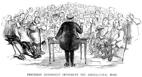 Professor Buckwheat impressing the agricultural mind