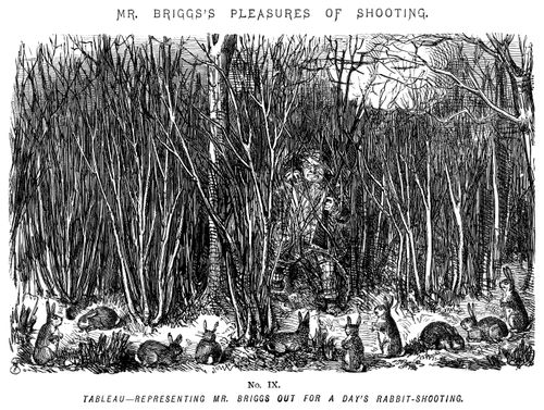 Mr Briggs's pleasures of shooting - No. IX