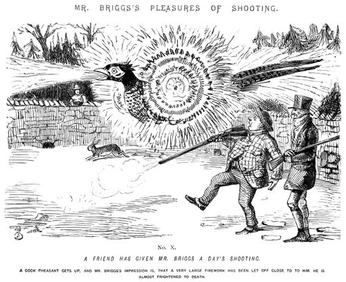 Mr Briggs's pleasures of shooting - No. X