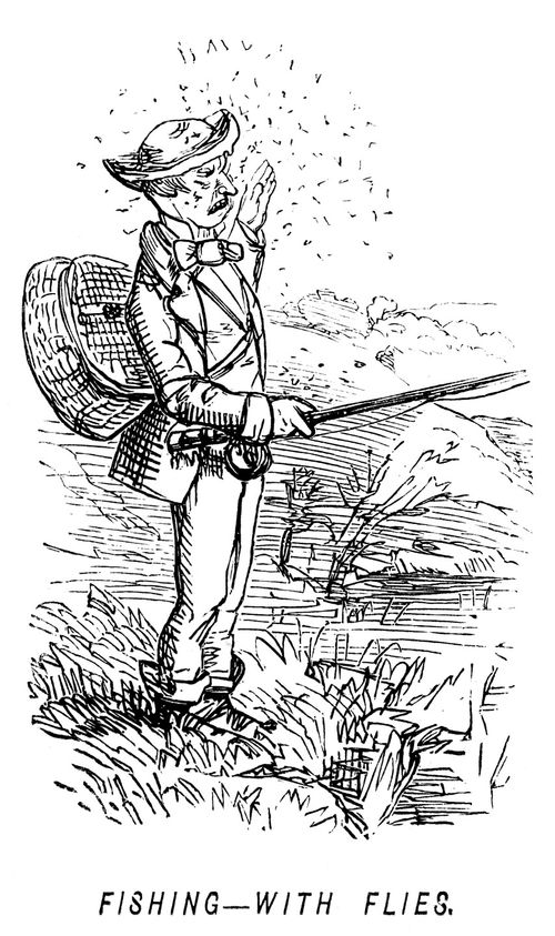 Fishing - with flies