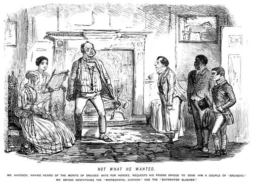 Having asked for some 'bruisers' to bruise oats for feeding horses, Mr. Haycock gets sent the 'Whitechaple Chicken' and the 'Bayswater Slasher'