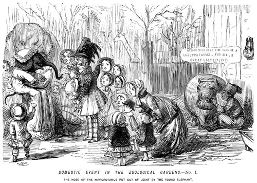 Domestic event in the Zoological Gardens No. I. - The nose of the hippopotamus put out of joint by the young elephant