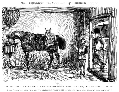Mr Briggs's Pleasures of Horsekeeping - No. X.